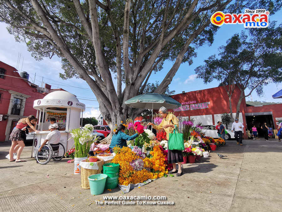 Oaxacan gastronomy