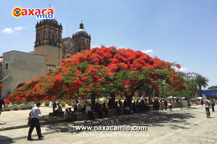 Oaxaca Travel