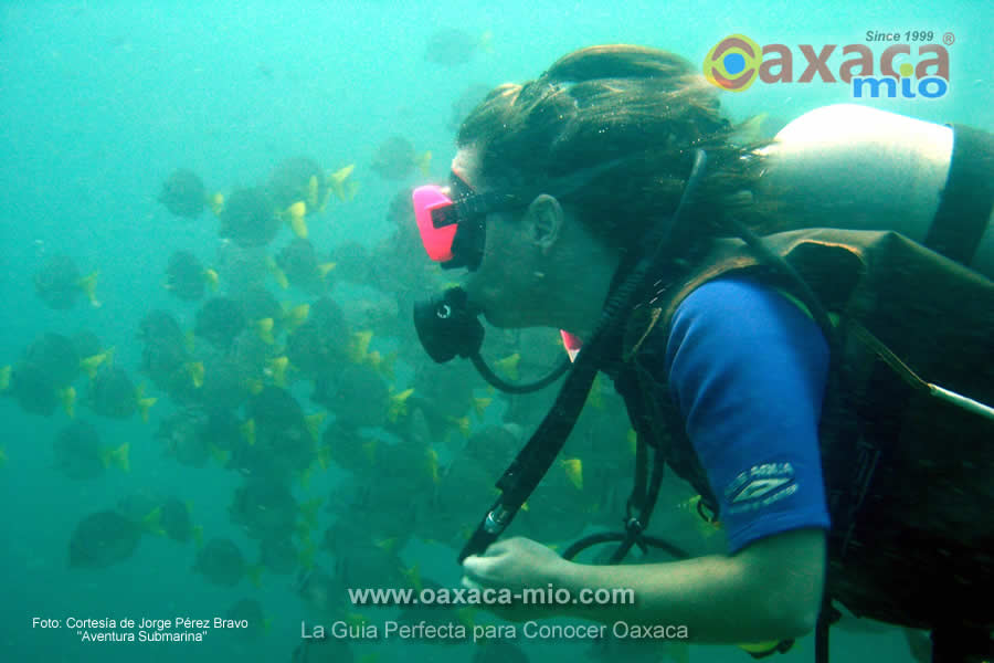 Puerto Escondido Surf Travel